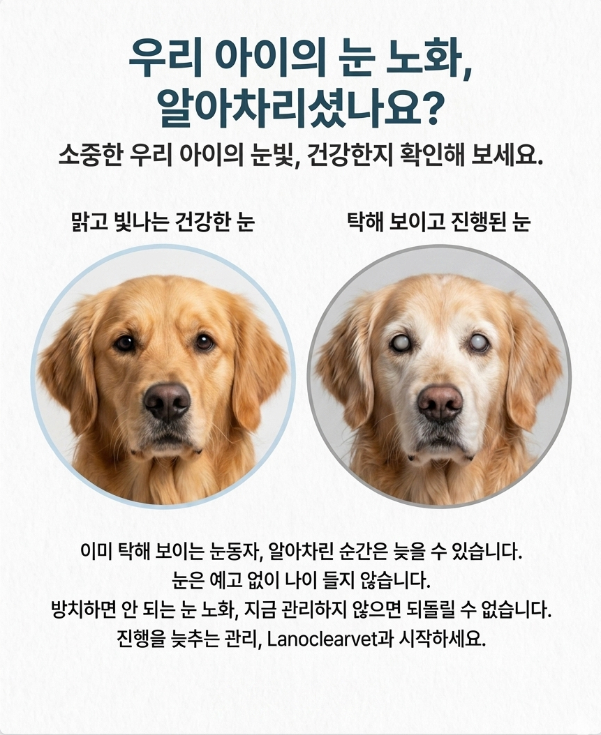 스토리1
