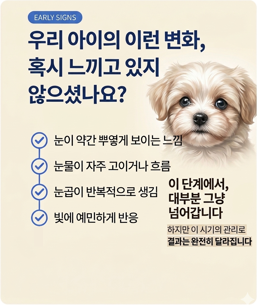 스토리2