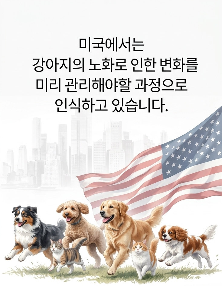 스토리6