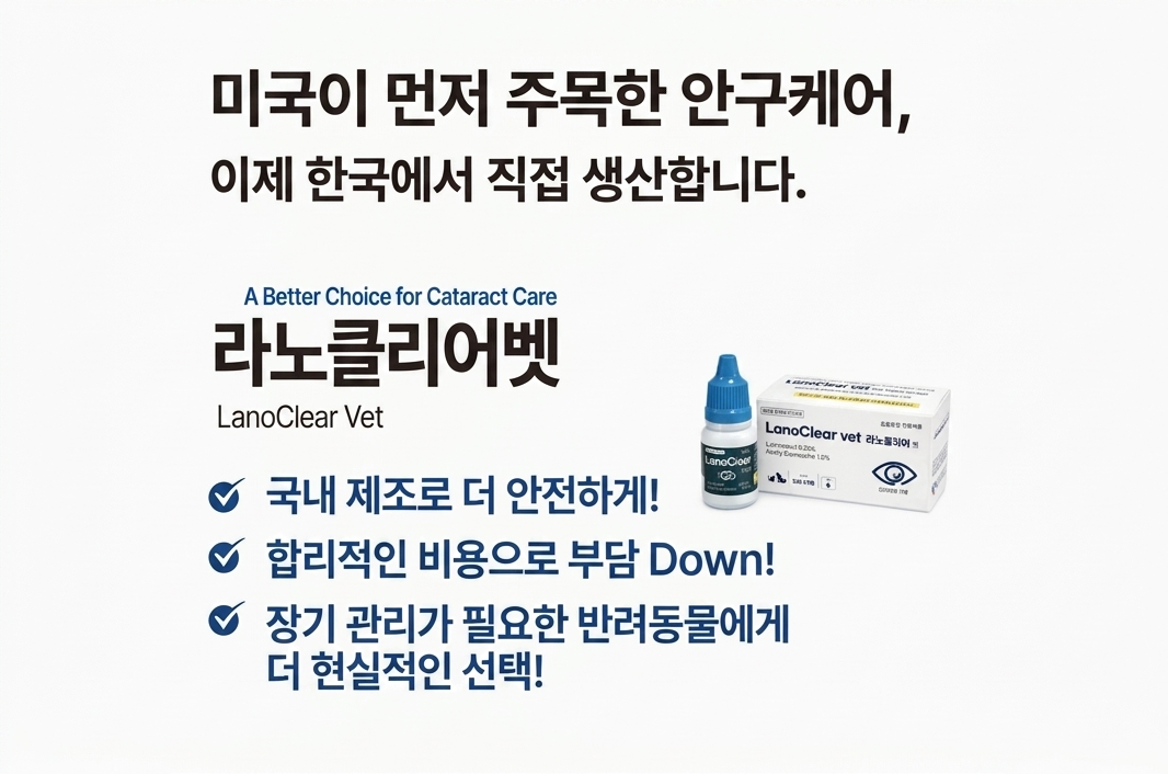 스토리6